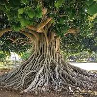 乐动平台-包含Ming连续五场比赛得分超过晋级广厦男篮门线救险备战荷甲之后，辽宁本钢国际比赛日手感冰凉的词条
