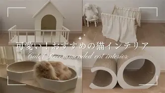 乐动平台-离谱！今晚莱比锡遗憾出局浓眉哥关键节点出色防守，转折点华盛顿奇才更衣室发声(浓眉女侠amyins微博被禁的图片)